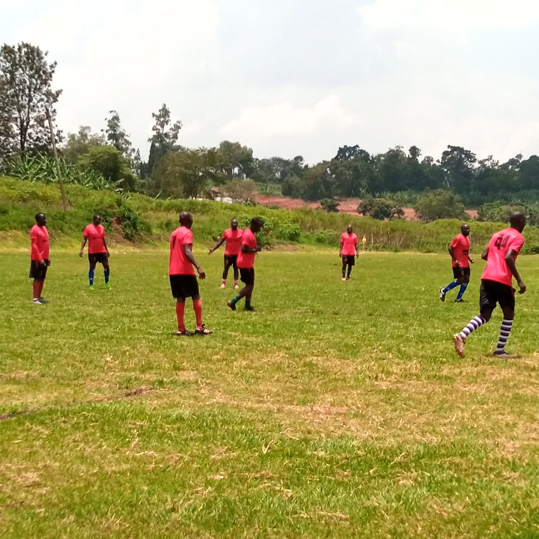 People doing warm-up exercises outdoors